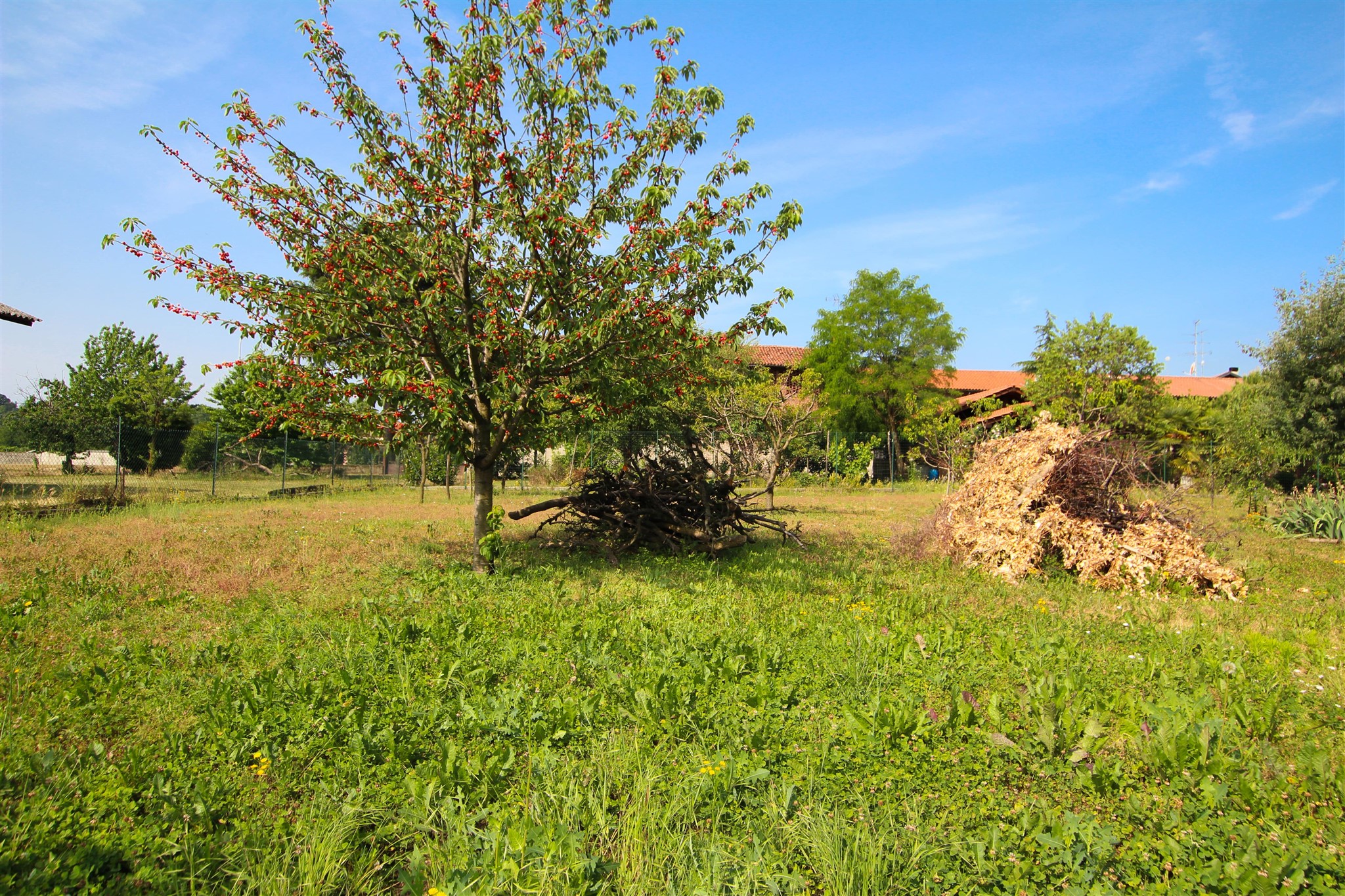 Rustico con terreno agricolo in vendita a Cavaglietto – foto 28