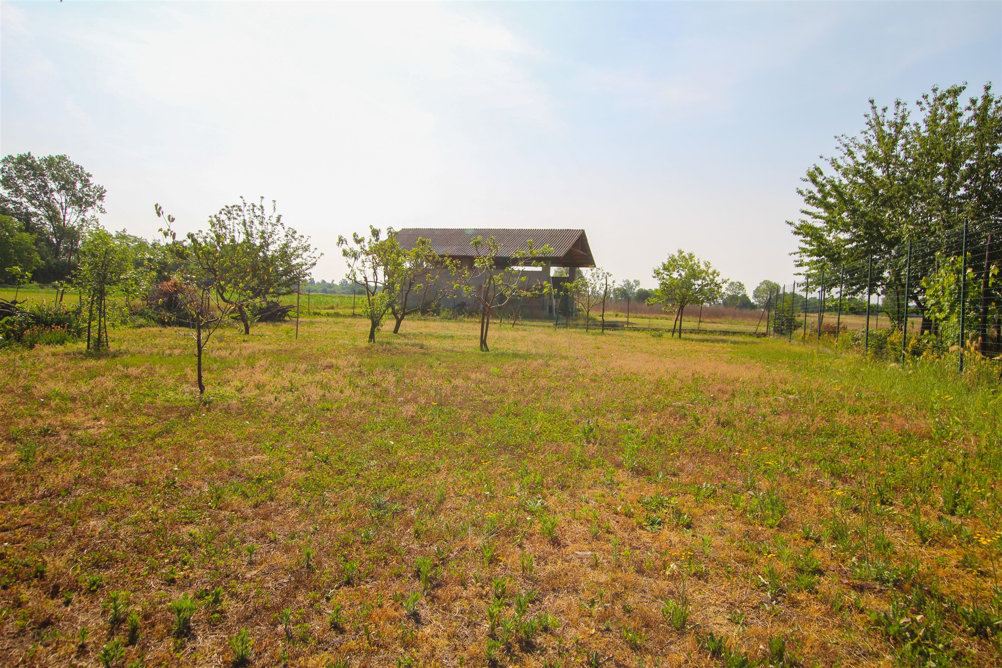 Rustico con terreno agricolo in vendita a Cavaglietto – foto 29