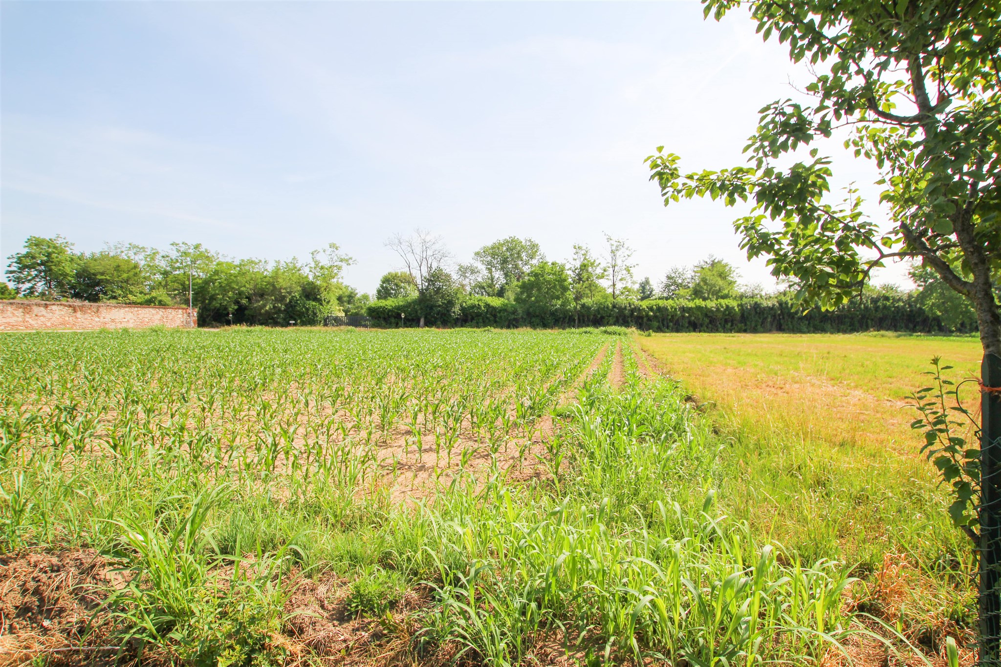 Rustico con terreno agricolo in vendita a Cavaglietto – foto 32