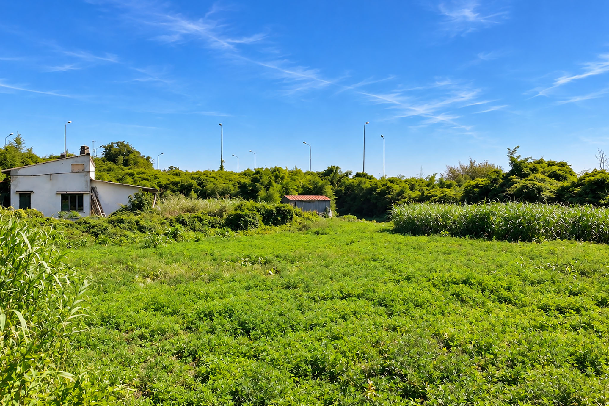 Terreno edificabile residenziale a Vicolungo