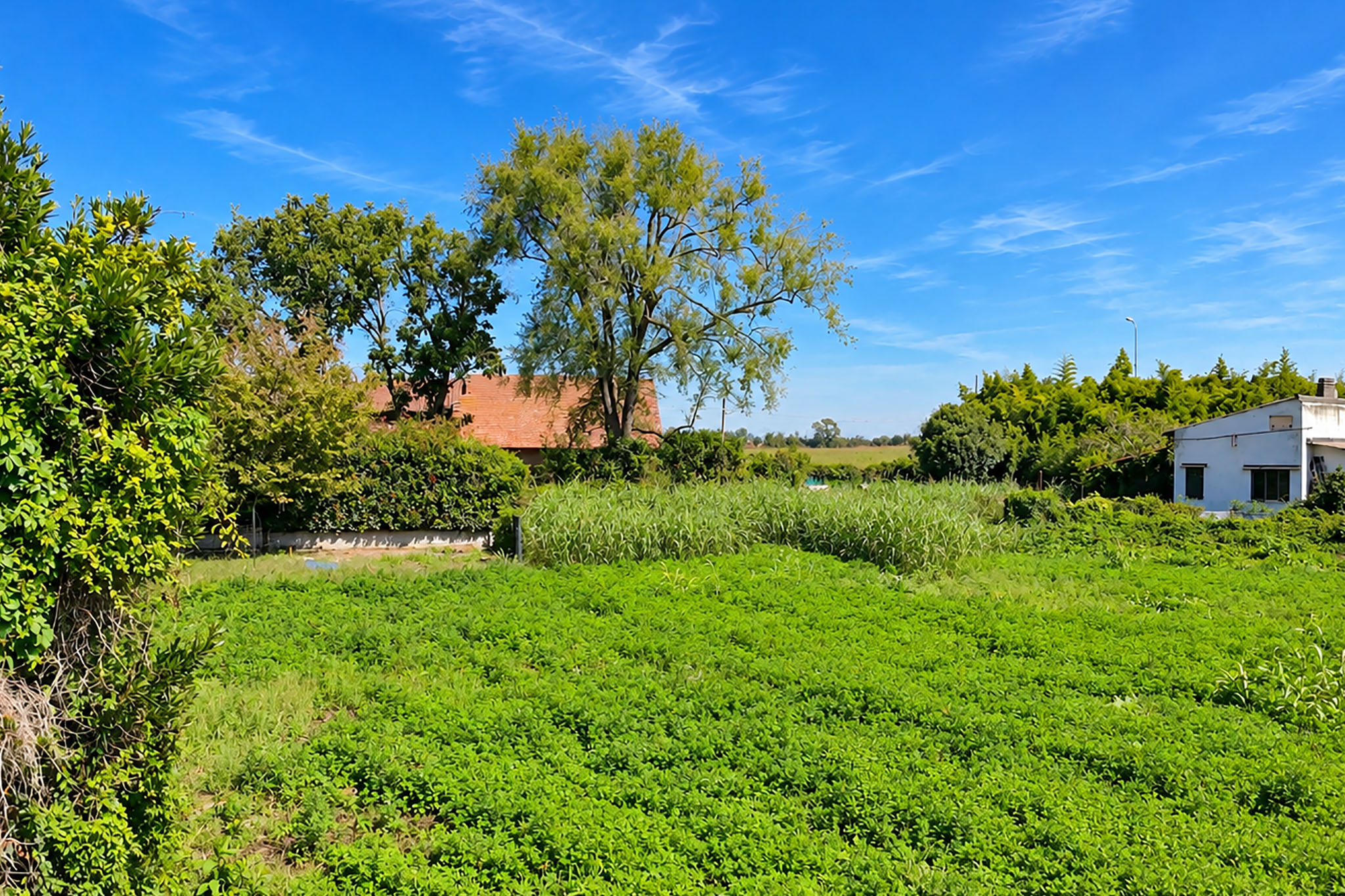 Terreno edificabile residenziale a Vicolungo